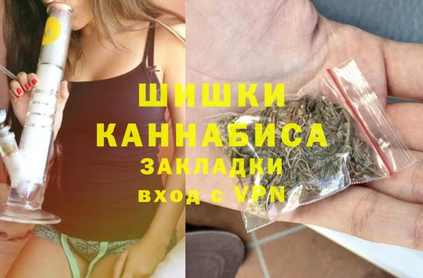 индика Богородицк